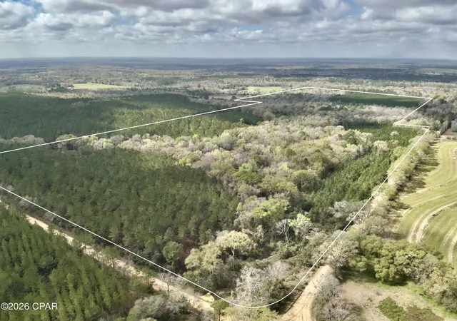 1st image of 122ac Highway 179, Bonifay, FL 32425 | MLS# 787108