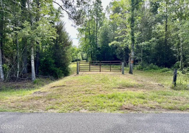 2nd image of 122ac Highway 179, Bonifay, FL 32425 | MLS# 787108
