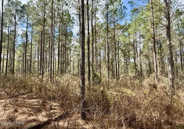3rd image of 122ac Highway 179, Bonifay, FL 32425 | MLS# 787108