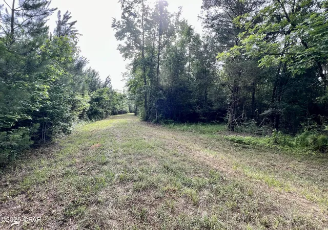 4th image of 122ac Highway 179, Bonifay, FL 32425 | MLS# 787108