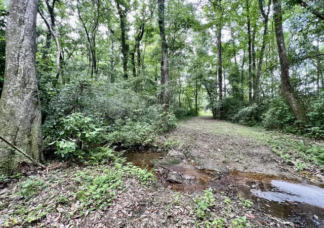5th image of 122ac Highway 179, Bonifay, FL 32425 | MLS# 787108