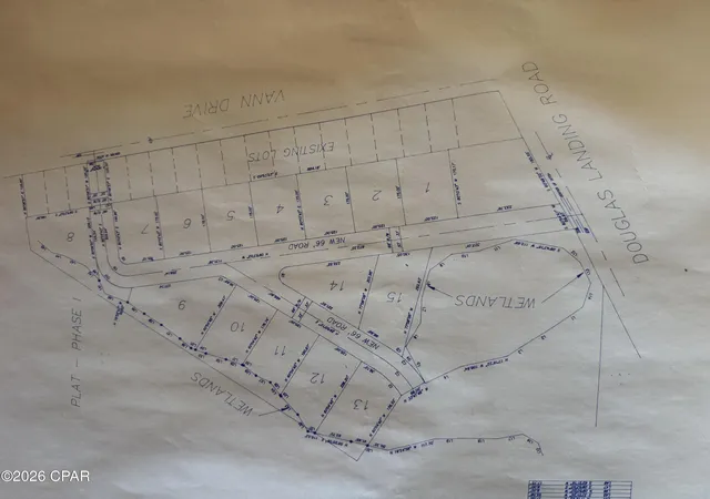 6th image of Tbd Douglas Landing Rd, Wewahitchka, FL 32465 | MLS# 787176