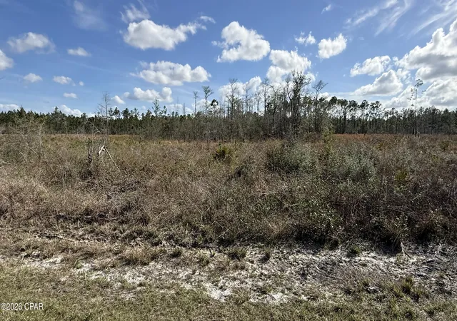 1st image of 21703 Beech Valley Valley, Altha, FL 32421 | MLS# 787180