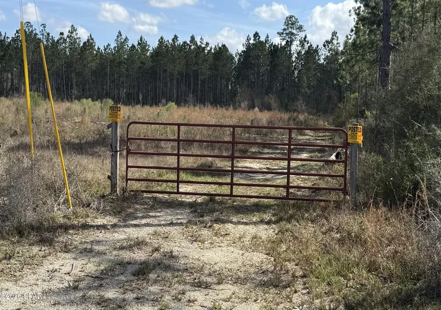 2nd image of 21703 Beech Valley Valley, Altha, FL 32421 | MLS# 787180