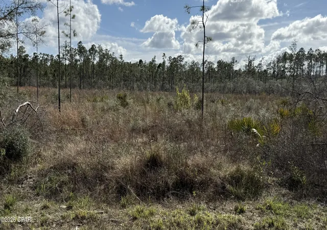 Photo 3 of Land for sale at 21703 Beech Valley, Altha, FL 32421 | MLS# 787180 | Listing updated on 2026-05-30