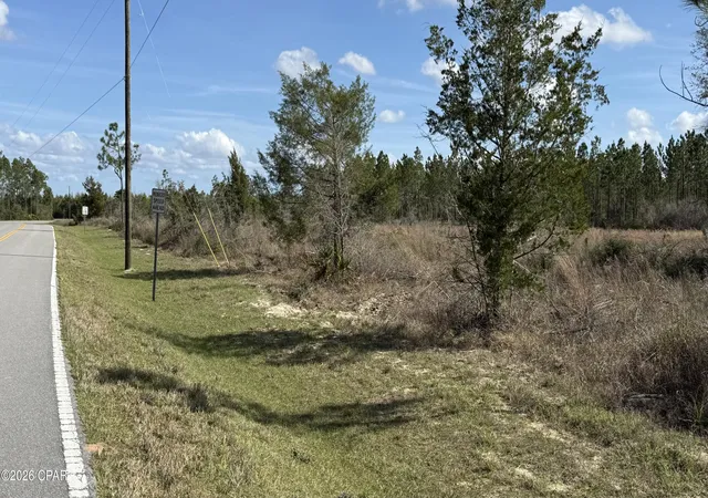 4th image of 21703 Beech Valley Valley, Altha, FL 32421 | MLS# 787180