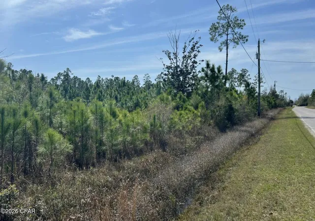 2nd image of 12816 Piercy Rd, Panama City, FL 32404 | MLS# 787199