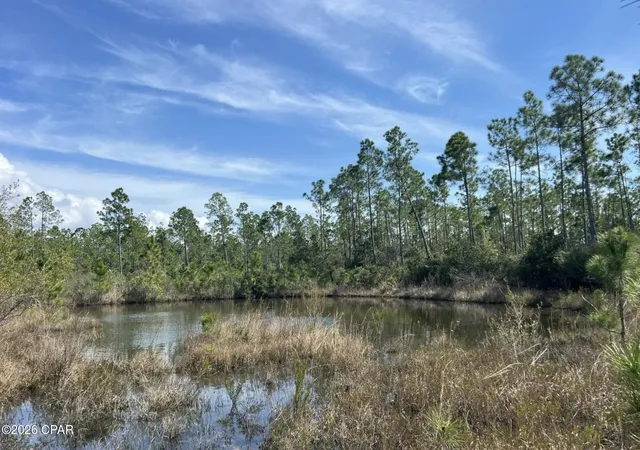 Photo 3 of Land for sale at 12816 Piercy Rd, Panama City, FL 32404 | MLS# 787199 | Listing updated on 2026-05-30