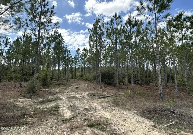 Homes for sale in Caryville, FL | Tract#6418 Mattox Springs Rd #S2, Caryville, FL 32427 | MLS# 787212