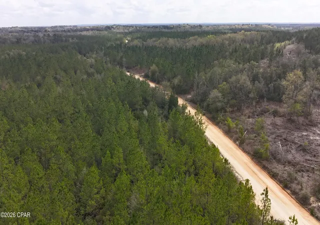 Homes for sale in Caryville, FL | Tract#6418 Mattox Springs Rd #S2, Caryville, FL 32427 | MLS# 787212
