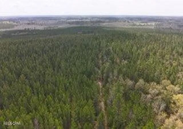 Homes for sale in Caryville, FL | Tract#6418 Mattox Springs Rd #S3, Caryville, FL 32427 | MLS# 787240