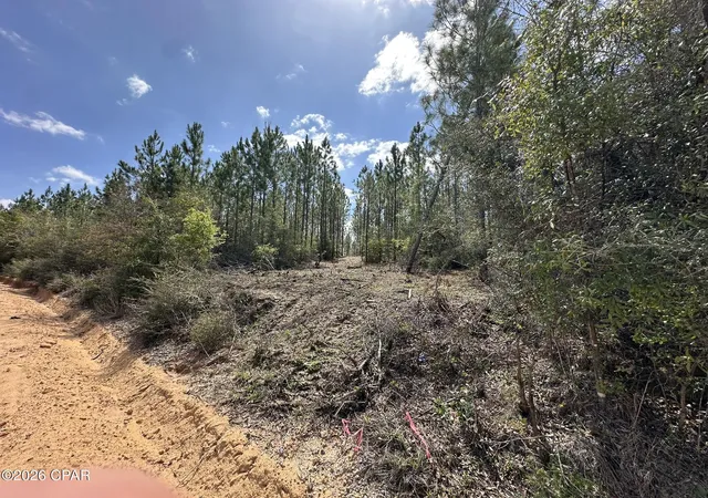 Homes for sale in Caryville, FL | Tract#6418 Mattox Springs Rd #S3, Caryville, FL 32427 | MLS# 787240
