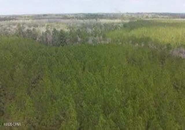 Homes for sale in Caryville, FL | Tract#6418 Mattox Springs Rd #S3, Caryville, FL 32427 | MLS# 787240