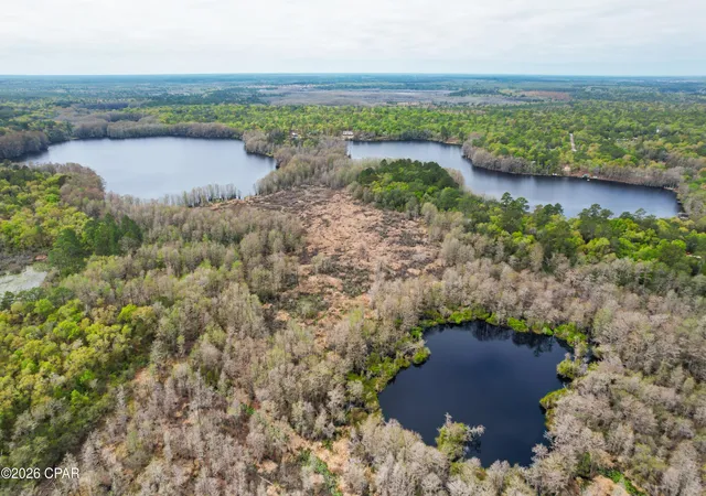 Homes for sale in Chipley, FL | 2730 Mosquito Rd, Chipley, FL 32428 | MLS# 787446