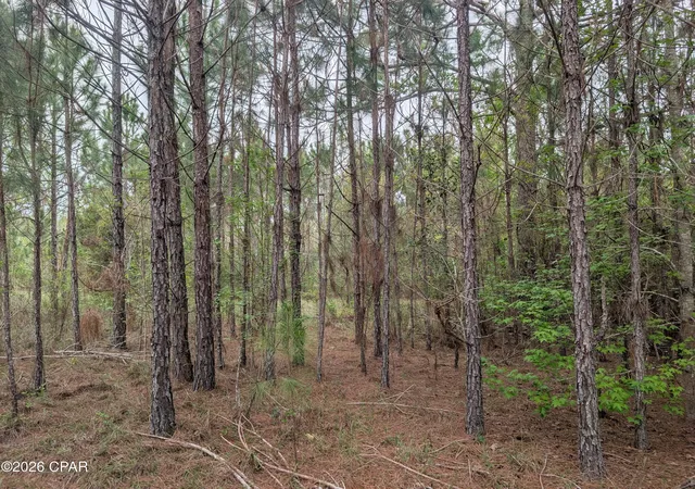 Homes for sale in Westville, FL | 0 Sumac Rd #Lot 49, Westville, FL 32464 | MLS# 787494