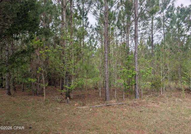 Homes for sale in Westville, FL | 0 Sumac Rd #Lot 49, Westville, FL 32464 | MLS# 787494