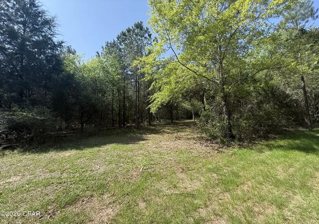 1st image of Tbd Sheffield Dr, Marianna, FL 32446 | MLS# 787500