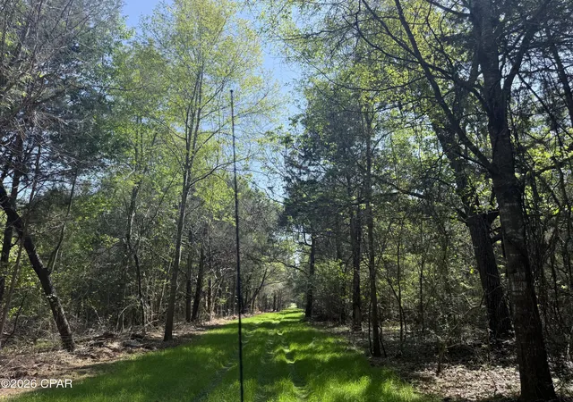 2nd image of Tbd Sheffield Dr, Marianna, FL 32446 | MLS# 787500
