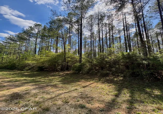 Homes for sale in Westville, FL | (Undisclosed), Westville, FL 32464 | MLS# 787526