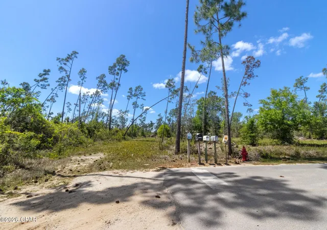 13th image of Lot 28 W Kelly Dr, Port St Joe, FL 32456 | MLS# 787570