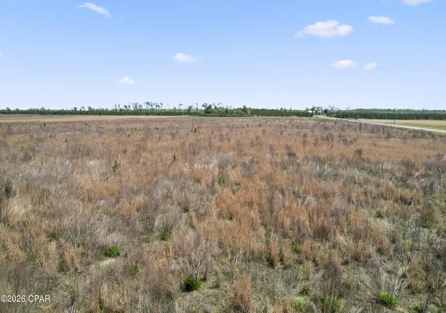 10th image of 00 Sr 71, Kinard, FL 32449 | MLS# 787611