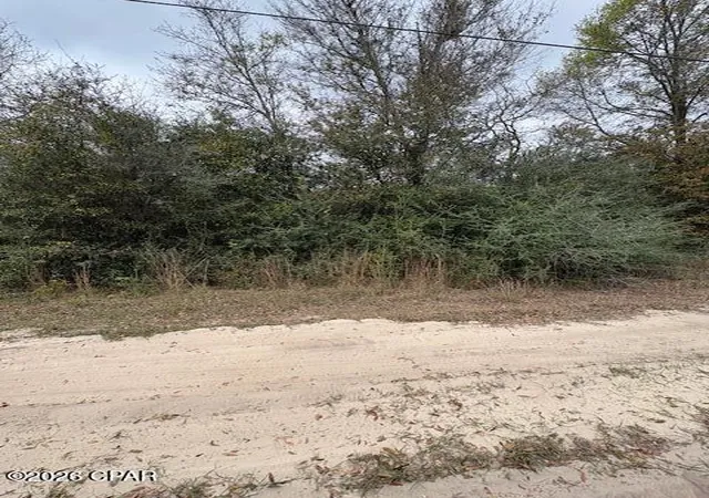 1st image of Na Pecan Shadows Dr, Youngstown, FL 32466 | MLS# 787723