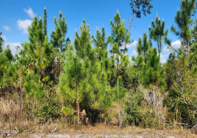 Photo 3 of Land for sale at 2727 Sting Ray Rd, Panama City, FL 32404 | MLS# 787793 | Listing updated on 2026-05-30