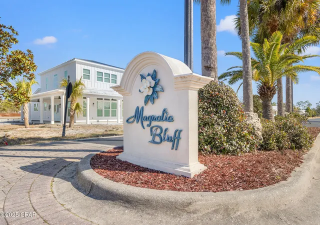 Photo 4 of Land for sale at 123 White Blossom Trl, Port Saint Joe, FL 32456 | MLS# 787845 | Listing updated on 2026-05-30