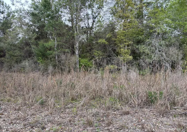 3rd image of X Nw Cook Rd, Clarksville, FL 32430 | MLS# 787905