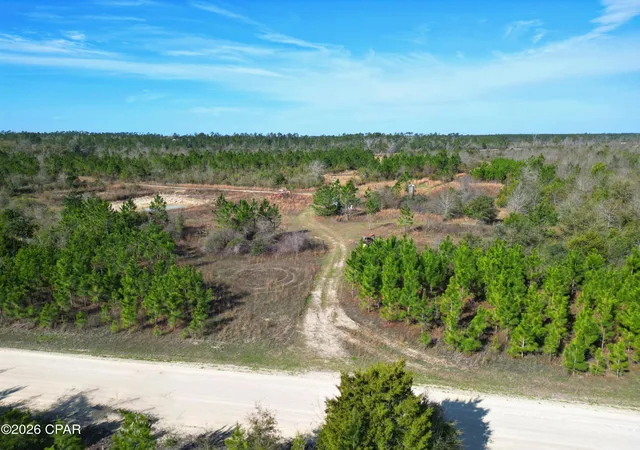 1st image of Xx Cook/cain Rd, Clarksville, FL 32430 | MLS# 787906