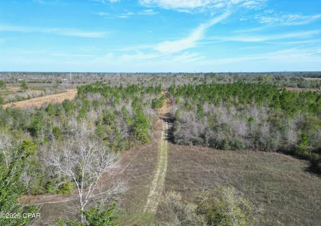 3rd image of Xx Cook/Cain Rd, Clarksville, FL 32430 | MLS# 787906