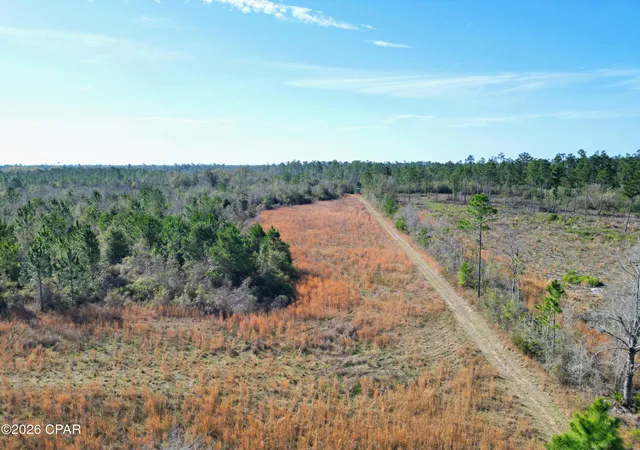 4th image of Xx Cook/Cain Rd, Clarksville, FL 32430 | MLS# 787906