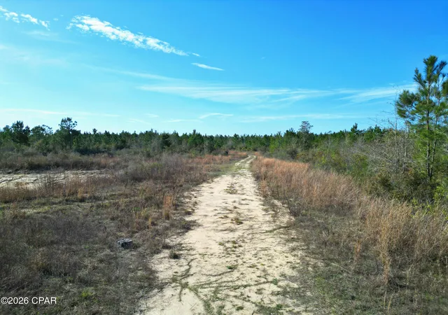 5th image of Xx Cook/Cain Rd, Clarksville, FL 32430 | MLS# 787906