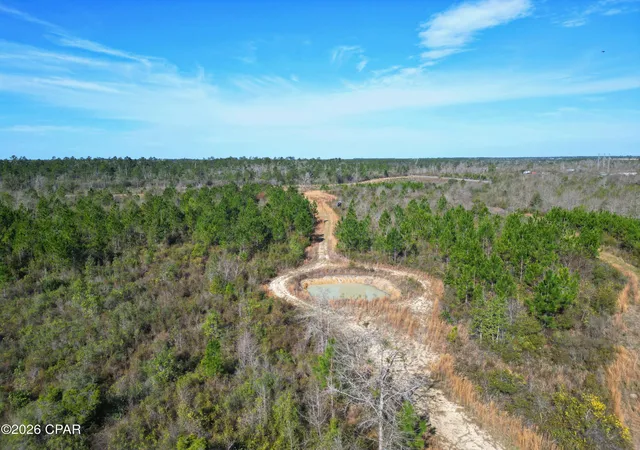 7th image of Xx Cook/cain Rd, Clarksville, FL 32430 | MLS# 787906