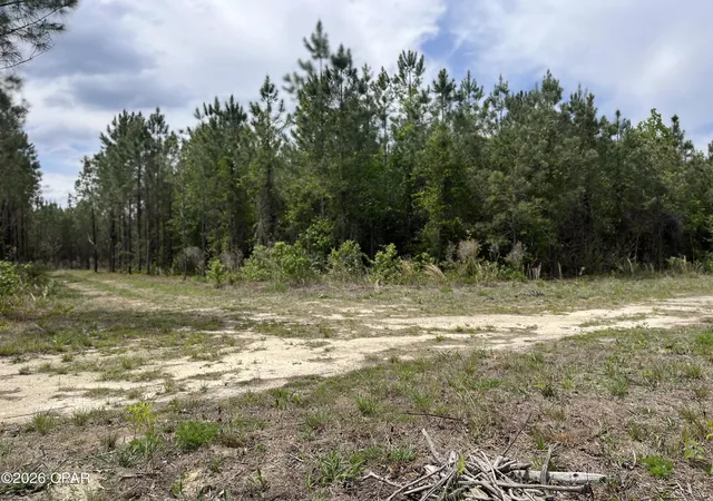 2nd image of 20460 Florida 71, Blountstown, FL 32424 | MLS# 788073
