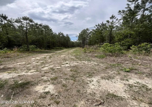 3rd image of 20460 Florida 71, Blountstown, FL 32424 | MLS# 788073