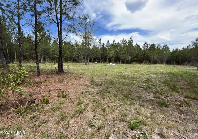 4th image of 20460 Florida 71, Blountstown, FL 32424 | MLS# 788073