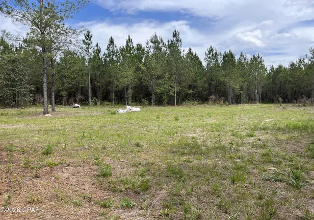 5th image of 20460 Florida 71, Blountstown, FL 32424 | MLS# 788073