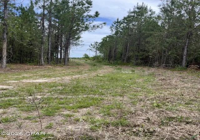 9th image of 20460 Florida 71, Blountstown, FL 32424 | MLS# 788073
