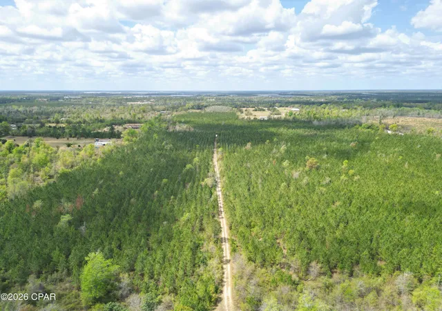 Photo 3 of Land for sale at Tbd Nw Melvin Rd, Clarksville, FL 32430 | MLS# 788155 | Listing updated on 2026-05-30