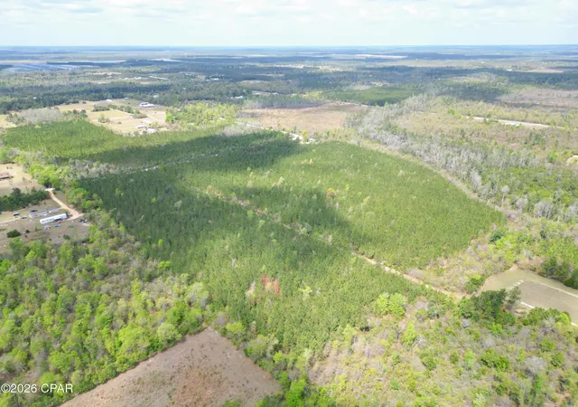 Photo 3 of Land for sale at Tbd NW Melvin Rd, Clarksville, FL 32430 | MLS# 788155 | Listing updated on 2026-05-30
