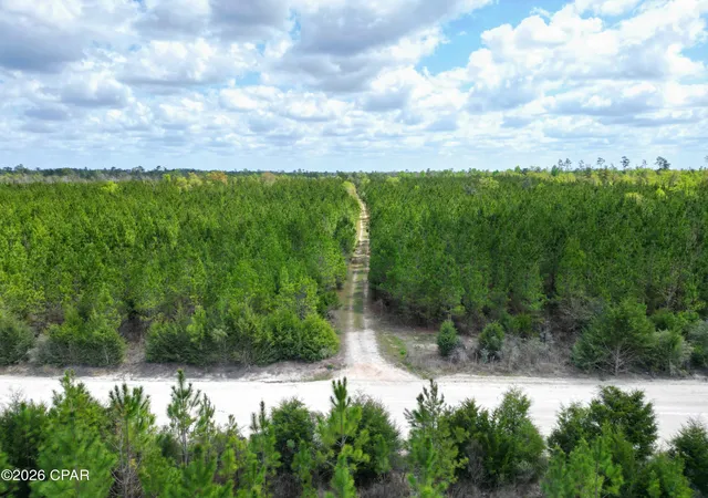 Photo 4 of Land for sale at Tbd NW Melvin Rd, Clarksville, FL 32430 | MLS# 788155 | Listing updated on 2026-05-30