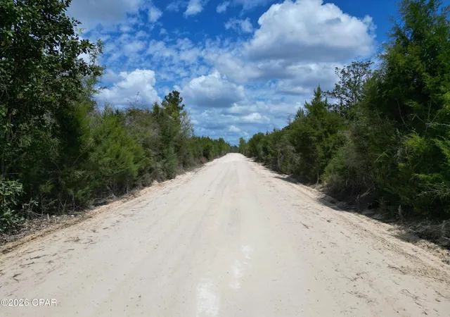 7th image of 37 Acres Nw Melvin Rd, Clarksville, FL 32430 | MLS# 788157