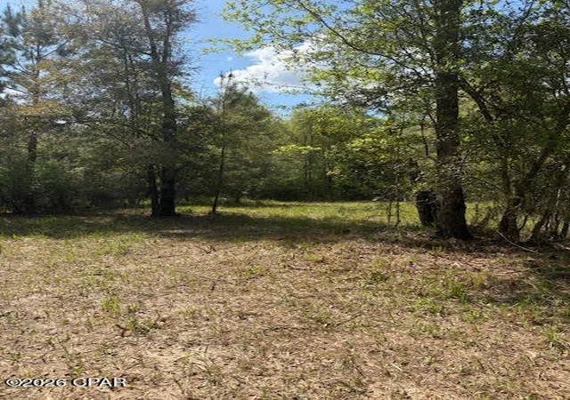 1st image of 0 Iron Bridge Rd, Marianna, FL 32448 | MLS# 788161