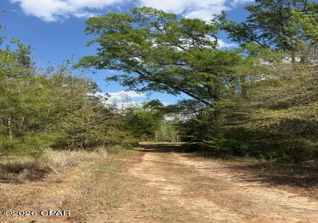 5th image of 0 Iron Bridge Rd, Marianna, FL 32448 | MLS# 788161