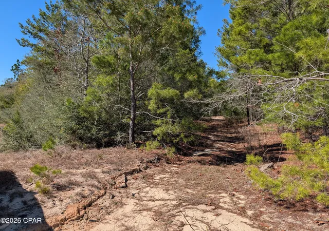 Homes for sale in Defuniak Springs, FL | Tbd Willow Bend Dr #TBD, Defuniak Springs, FL 32433 | MLS# 788222