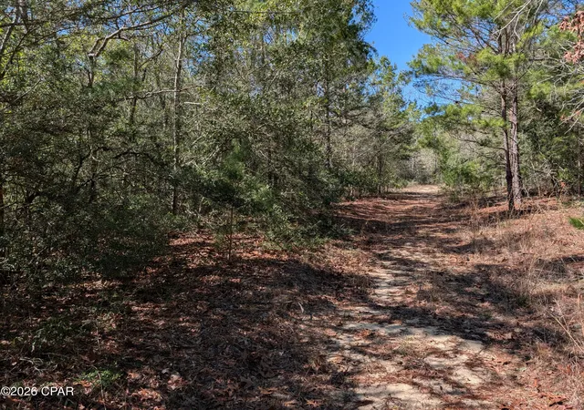 Homes for sale in Defuniak Springs, FL | Tbd Willow Bend Dr #TBD, Defuniak Springs, FL 32433 | MLS# 788222