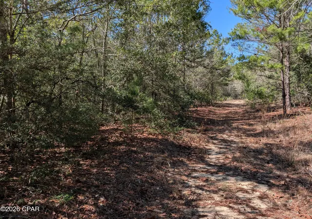 Homes for sale in Defuniak Springs, FL | Tbd Willow Bend Dr #TBD, Defuniak Springs, FL 32433 | MLS# 788222