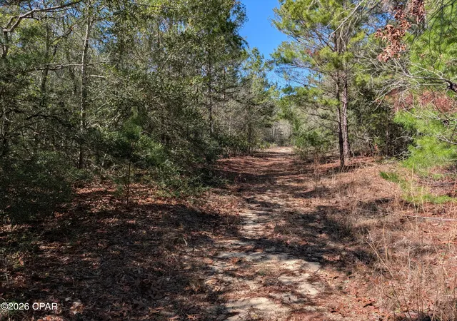 Homes for sale in Defuniak Springs, FL | Tbd Willow Bend Dr #TBD, Defuniak Springs, FL 32433 | MLS# 788222