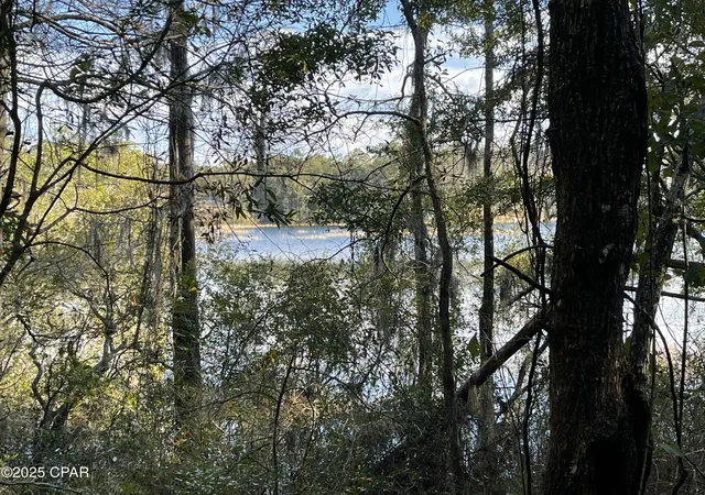 21st image of 0000 Bent Oaks Rd, Chipley, FL 32428 | MLS# 788299